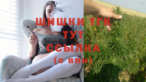 спиды Мегион