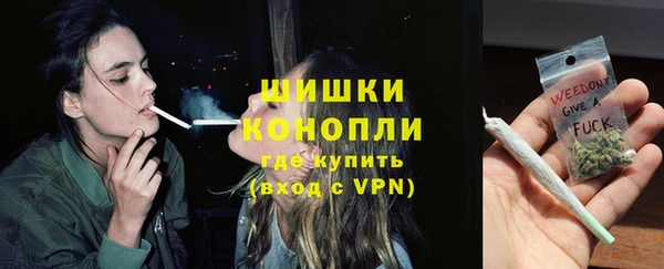 СК Медвежьегорск