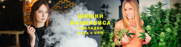 прущие грибы Медногорск