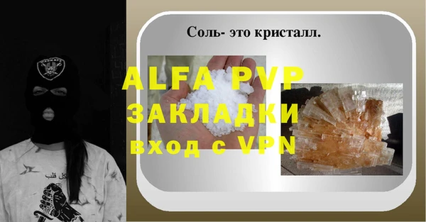 прущие грибы Медногорск