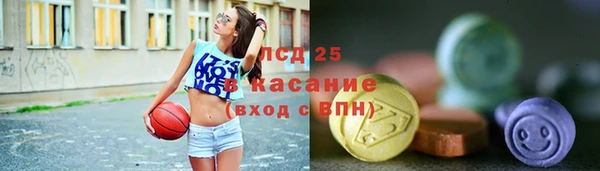 СК Медвежьегорск