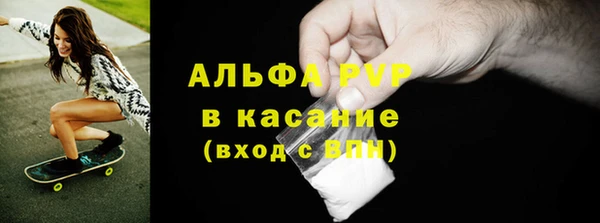 прущие грибы Медногорск