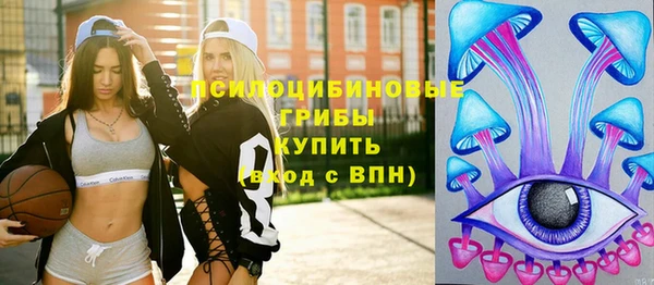 молекула духа Михайловск