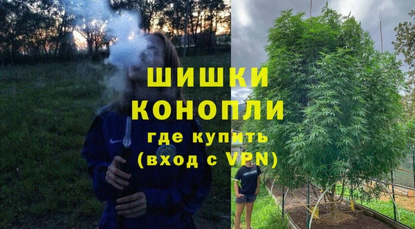 прущие грибы Медногорск