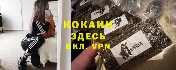 прущие грибы Медногорск