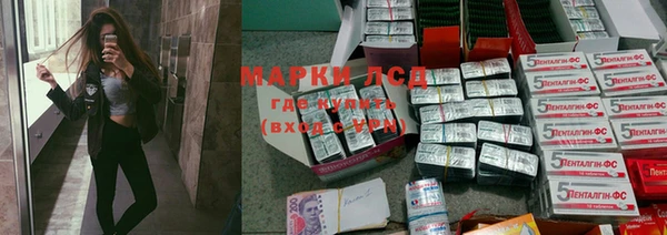 прущие грибы Медногорск