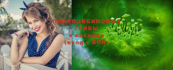 стафф Михайловка