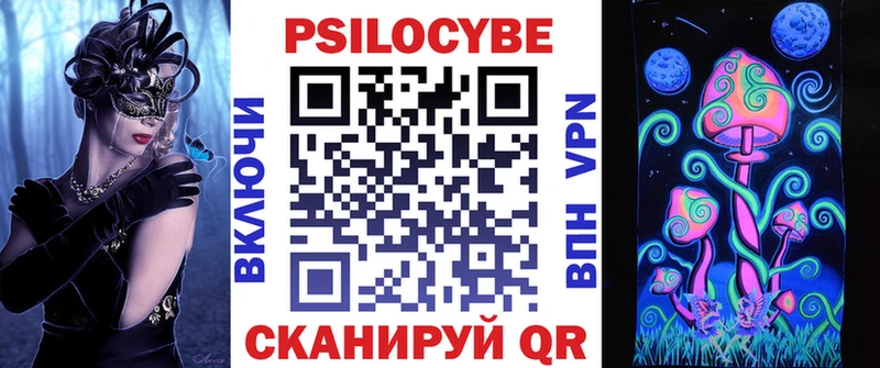 Псилоцибиновые грибы Psilocybe  Новоалександровск 