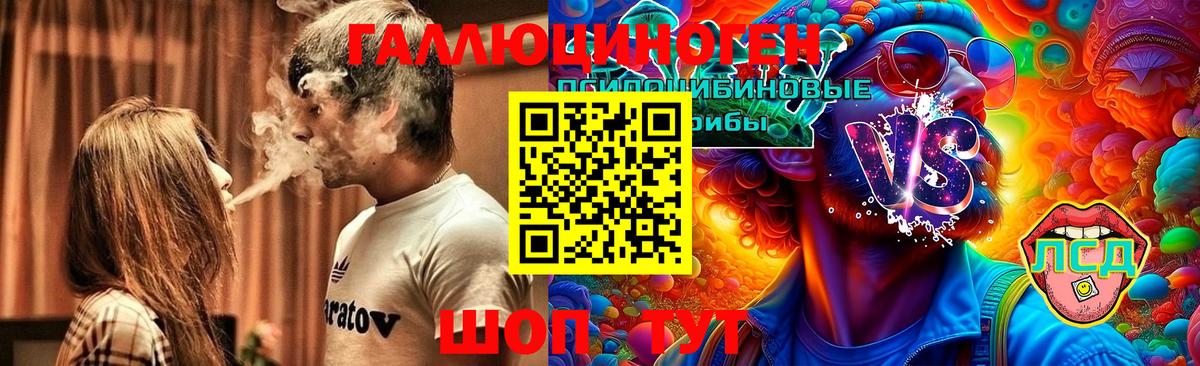 Псилоцибиновые грибы Magic Shrooms Новоалександровск