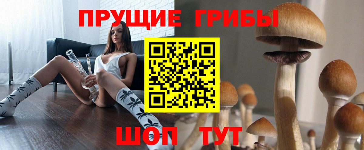 Галлюциногенные грибы Magic Shrooms  Новоалександровск  Галлюциногенные грибы прущие грибы 