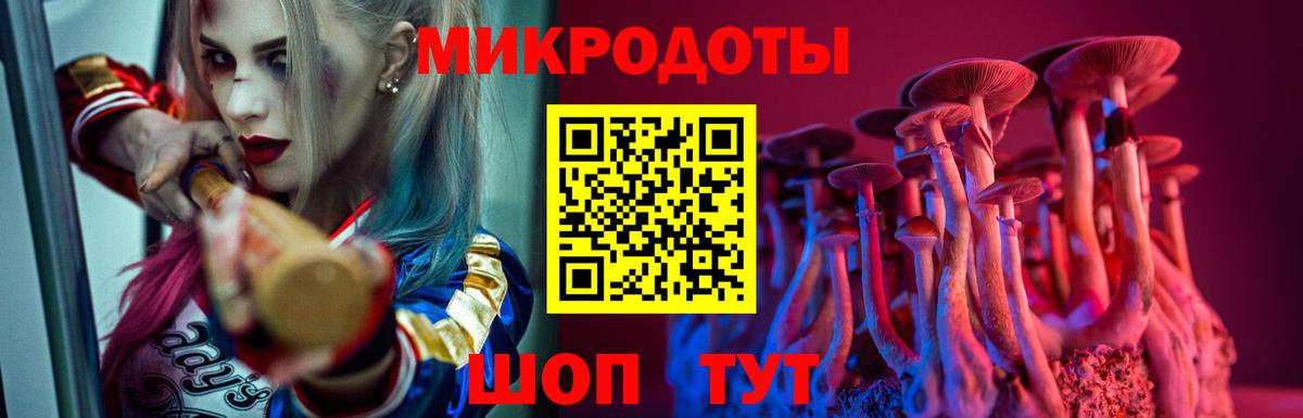 Псилоцибиновые грибы мицелий  Вход с VPN  Новоалександровск 